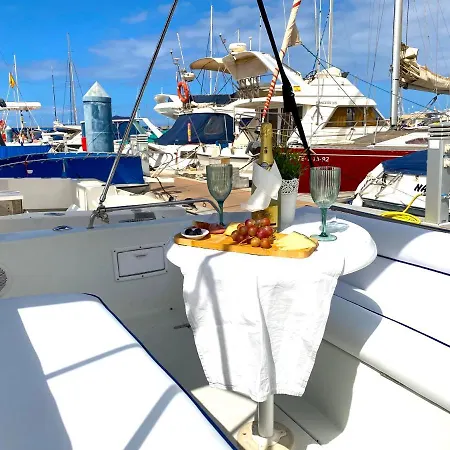 Tekne Barco Pita - Amarilla Marina San Miguel de Abona